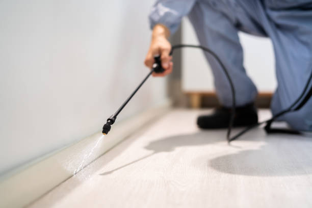 Bed Bug Pre-Treatment Preparation Assessment in Zeigler