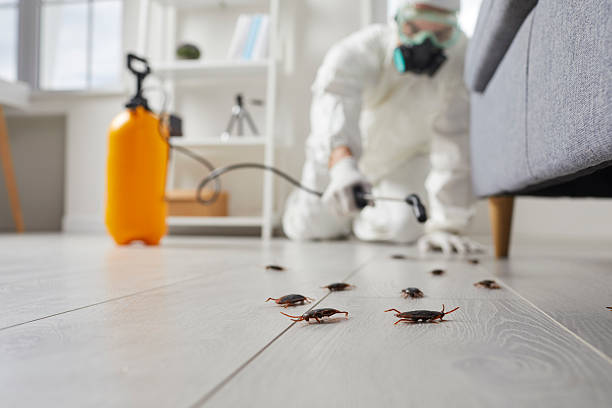Post-Treatment Bed Bug Interceptor Monitoring in Zeigler
